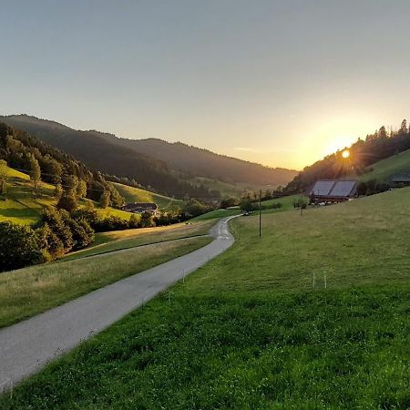 Апартаменти Irgendwo Im Schwarzwald Ельцах Екстер'єр фото